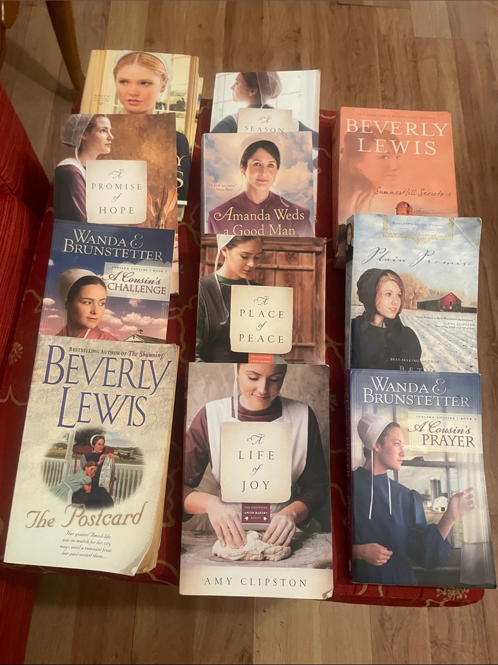 Amish book collection